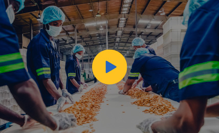 training and development in garment industry